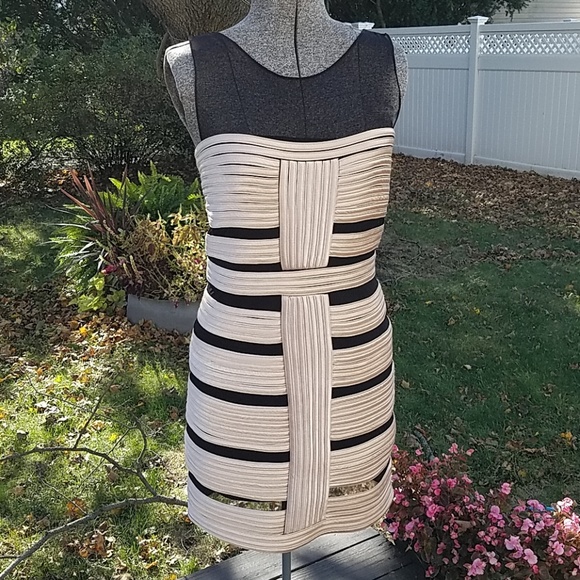 XSCAPE Gold and Black Dress Size 6 - Picture 1 of 8